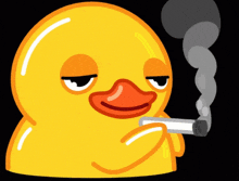 Twitter Duck GIF - Twitter Duck Smoke GIFs