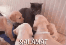 Cute GIF - Salamat Salamatpo Pagsasalamat GIFs