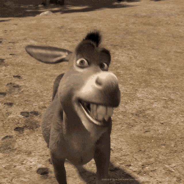Shrek Donkey GIFs | Tenor