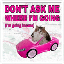 a cat is sitting in a pink car with the words " don t ask me where i 'm going "