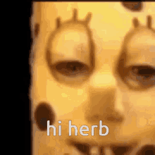 Herb Hi Herb GIF