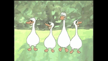 Dingo Pictures Ducks GIF - Dingo Pictures Ducks Up And Down GIFs