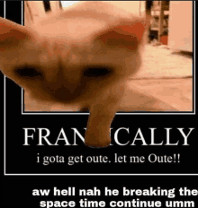 a picture of a cat with a caption that says francally i gota get oute let me oute