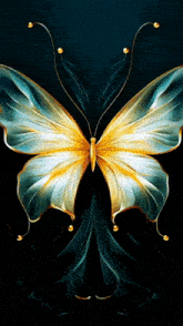 a butterfly with blue and gold wings is on a black background