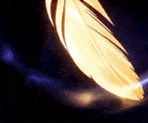 a close up of a gold feather on a black background