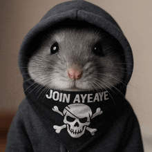 a rat wearing a hoodie and a bandana that says join aye aye