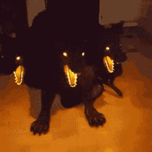 Cereberus Dog GIF - Cereberus Dog Fire GIFs