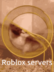 roblox servers