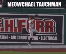 Sfgiantskate Michael Tauchman GIF - Sfgiantskate Michael Tauchman Meowchael Tauchman GIFs
