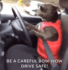 a dog wearing sunglasses is driving a car and says be a careful bow wow drive safe .