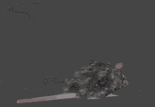 Crash Spinning GIF - Crash Spinning Rat GIFs