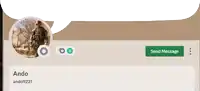 a screenshot of a person 's profile with the name ando on it
