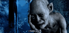 Lord Of The Rings Gollum GIF - Lord Of The Rings Gollum I Hate You GIFs