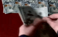 Money Dollars GIF - Money Dollars доллары GIFs