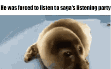 Saga Listening GIF - Saga Listening Party GIFs