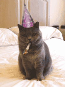 Happy Birthday Celebrate GIF - Happy Birthday Celebrate Cat GIFs