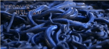 Blue Snake GIF - Blue Snake Many GIFs