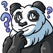 giantpanda panda pandaoquestion question confused