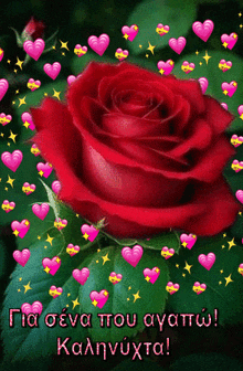 a red rose is surrounded by pink hearts and says " για σένα που αγαπώ "