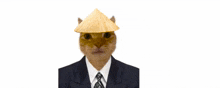 a cat wearing a conical hat next to the word catmullah