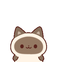 Shamu Cat Sticker - Shamu Cat Siamese Cat Stickers