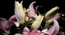 Bloemen GIF - Bloemen Bloeien Lente GIFs