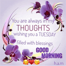 you are always in my thoughts wishing you a tuesday filled with blessings