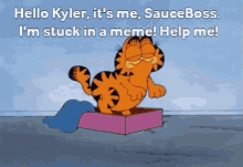 Sauceboss Kyler GIF - Sauceboss Kyler Meme GIFs
