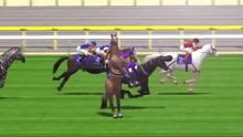 a horse with the number 2 on its saddle is in a race