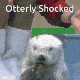 an otter is being held by a person with the words " otterly shocked " below it