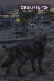 a wolf is standing in front of a sign that says ( зверь ) on it