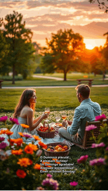 a man and woman are having a picnic in the park