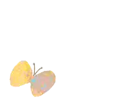 two colorful butterflies are flying in the air
