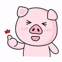 pig animal pink cute good