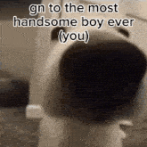 Gn Handsome GIF