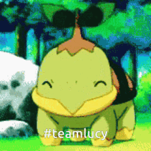 Teamlucy Turtwig GIF - Teamlucy Turtwig Pokemon GIFs