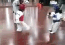 Kiaa GIF - Karate GIFs