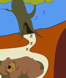 겨울잠 곰돌이 잠 지하 동굴 곰 쿨쿨 GIF - Hibernate Hibernation Sleep GIFs