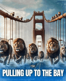 Lions Pulling Up To The Bay GIF - Lions Pulling Up To The Bay GIFs