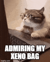 Xeno Mining Xeno Bag GIF - Xeno Mining Xeno Bag GIFs