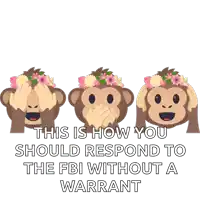 three monkeys with flowers on their heads and the words " this is how you should respond to the fbi without a warrant " below