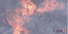 18 Firefighters Killed In Arizona Wildfire. GIF - Arizona Wildfire Forest GIFs