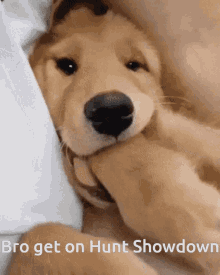 Get On Hunt Showdown GIF - Get On Hunt Showdown Bro Get On GIFs