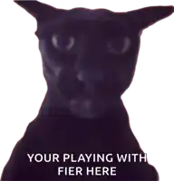 a picture of a black cat with the words your playing with fier here