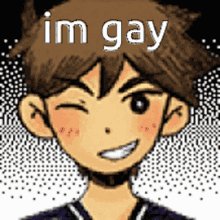 a cartoon of a boy with the words `` i 'm gay '' written on it .