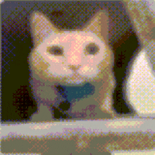 a pixelated image of a cat with a collar on