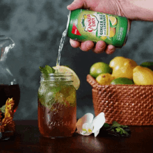 Ginger Ale Canada Dry GIF - Ginger Ale Canada Dry Spiked Iced Tea GIFs