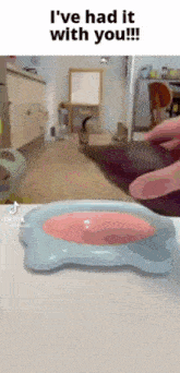Tyler Cats GIF - Tyler Cats I'Ve Had It Up To Here GIFs