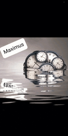 a bunch of clocks are floating in the water and the word maximus is on the bottom right