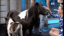 Michelle Jenner Horse GIF - Michelle Jenner Horse Pet Lover GIFs